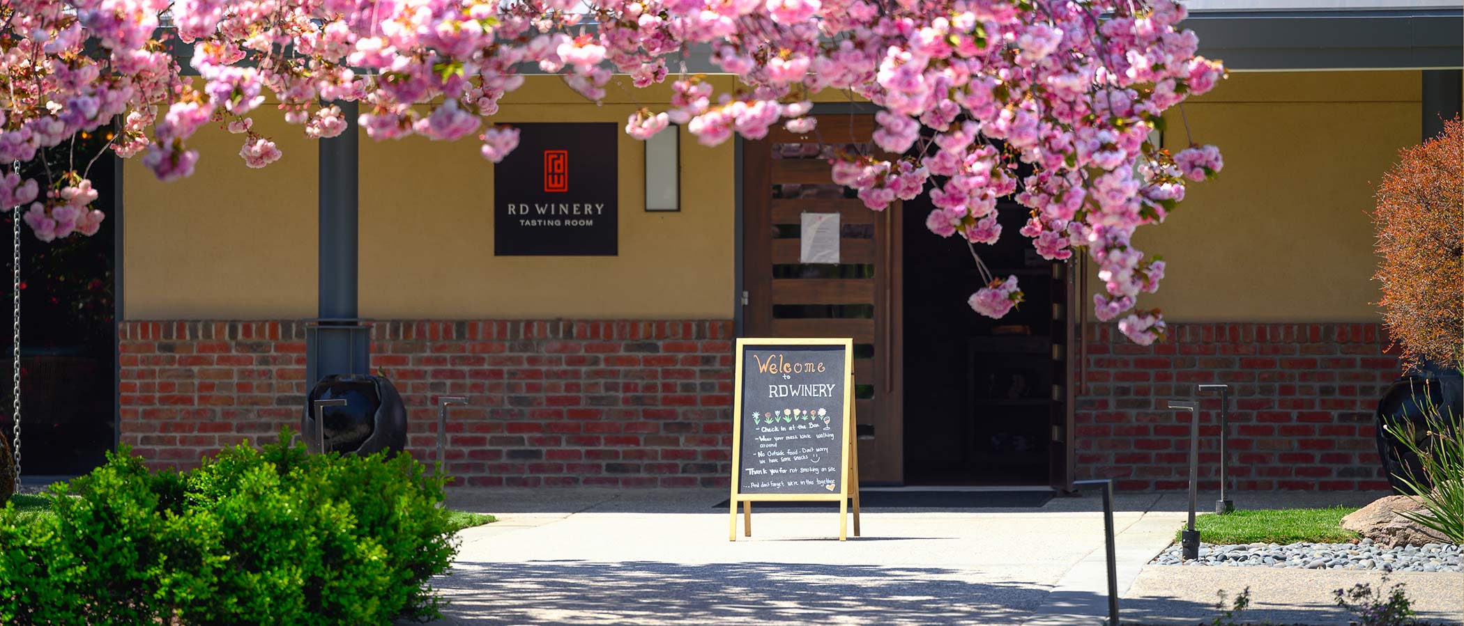 Cherry blossoms at RD Winery tasting room.