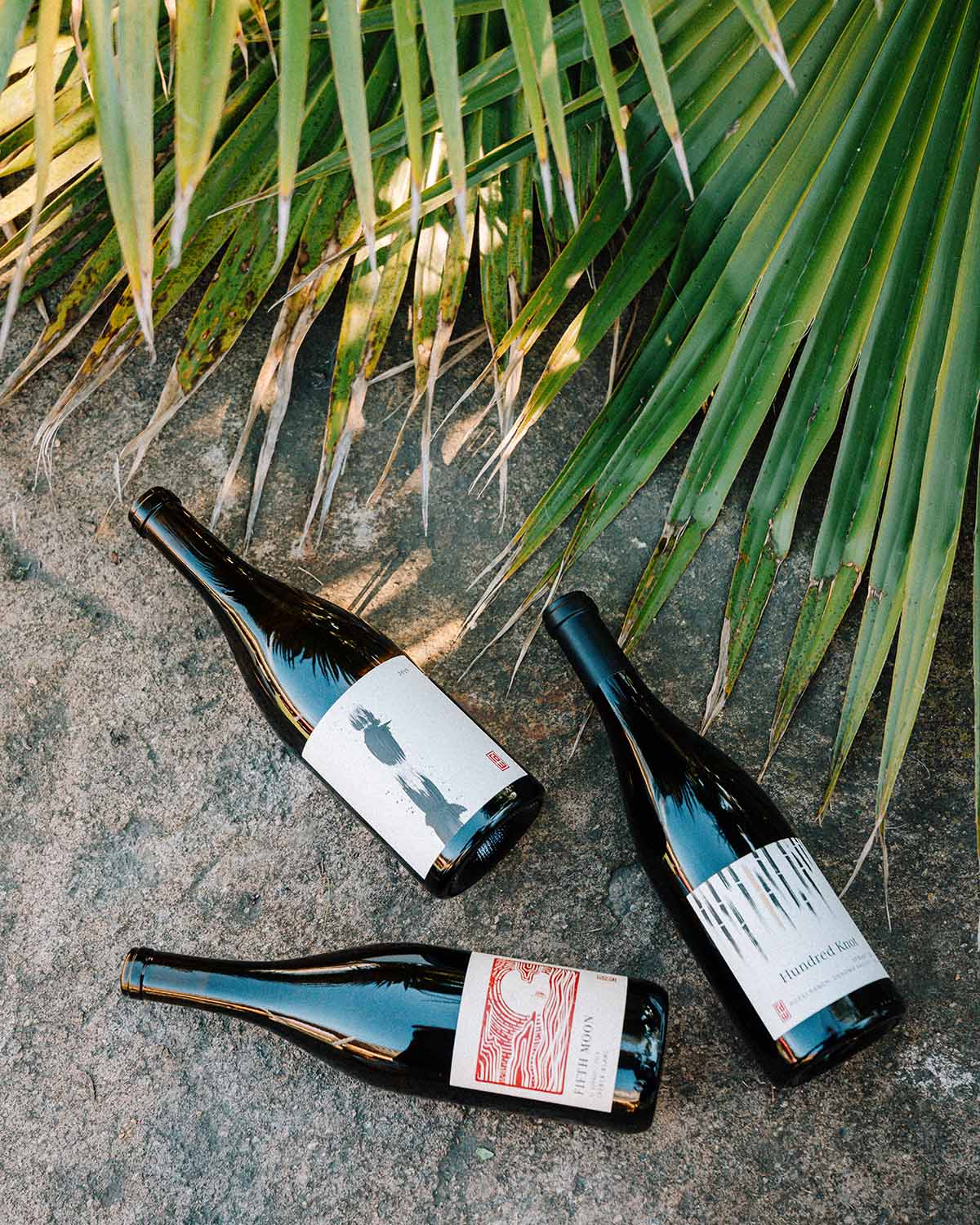 Three dark Napa wine bottles with white and red labels arranged on a textured gray stone surface under palm leaves.