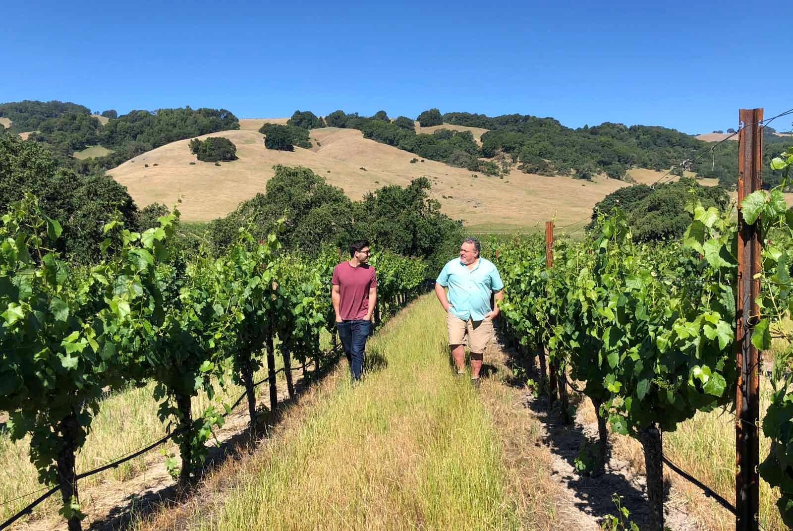 tim milos walking napa vineyard