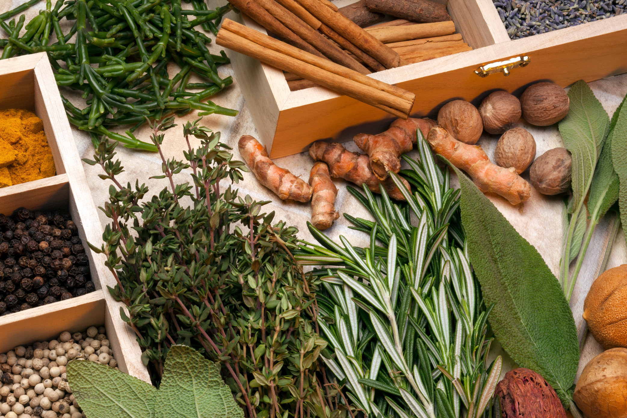 A collection of herbs and spices