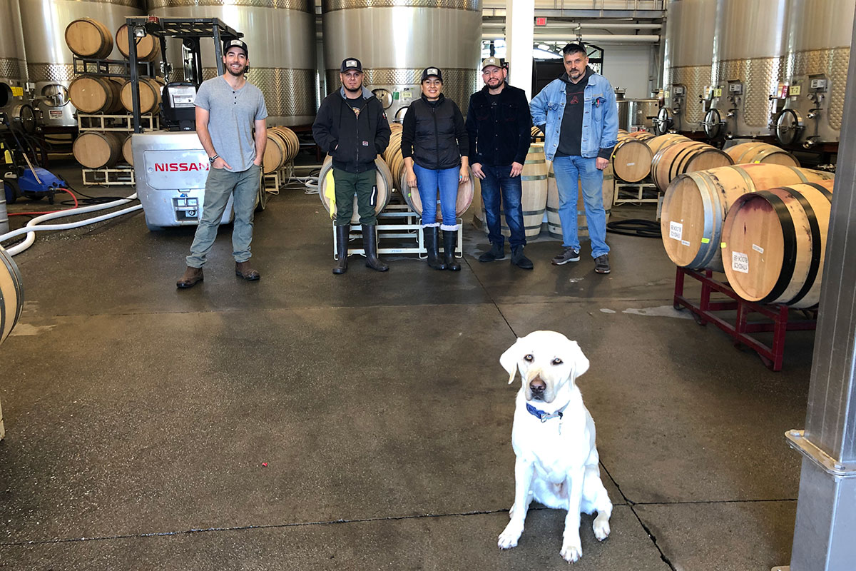 RD Winery cellar crew and dog