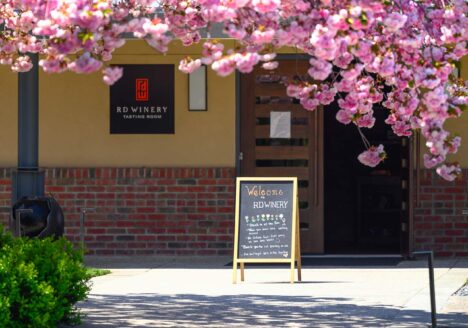 Cherry blossoms at RD Winery tasting room.