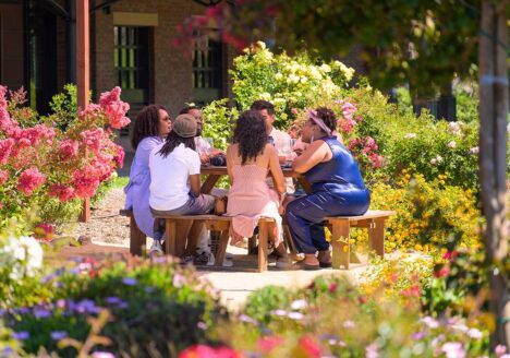 Group of friends sipping at the garden picnic table