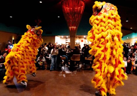 Lions performing for crowd inside tasting room